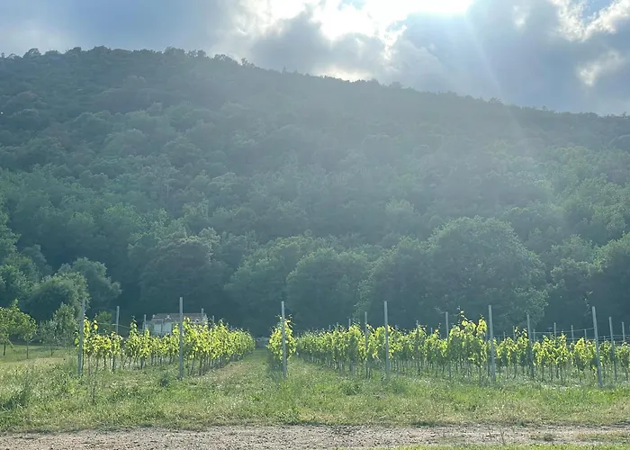 T2 A La Campagne