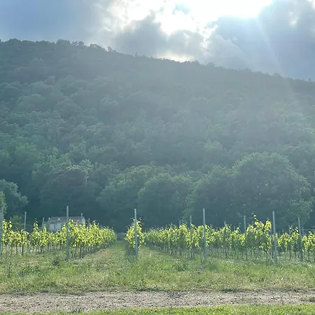 T2 A La Campagne