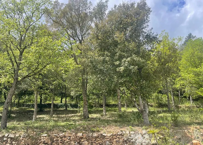 T2 A La Campagne Apartmán